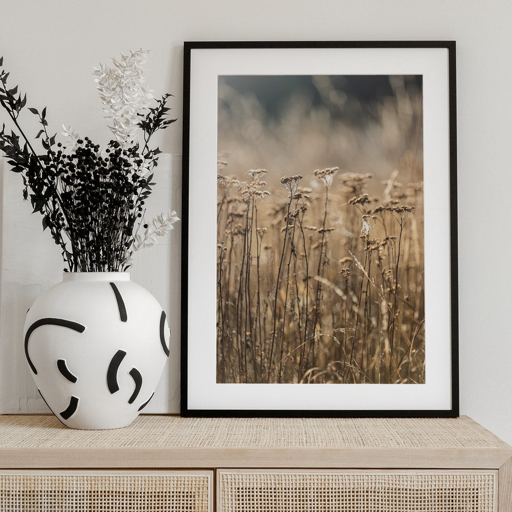 Fotografie eines Feldes mit trockenen Gräsern und Blüten in Beige- und Goldtönen