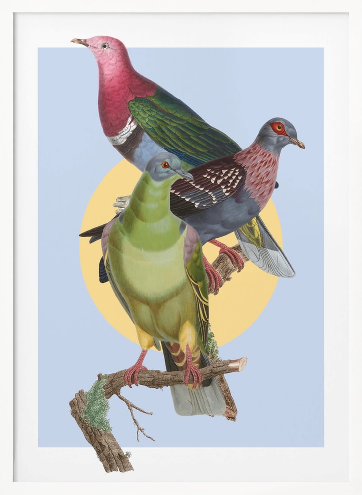 Illustration dreier bunter Tauben auf einem Ast vor gelbem Kreis und hellblauem Hintergrund