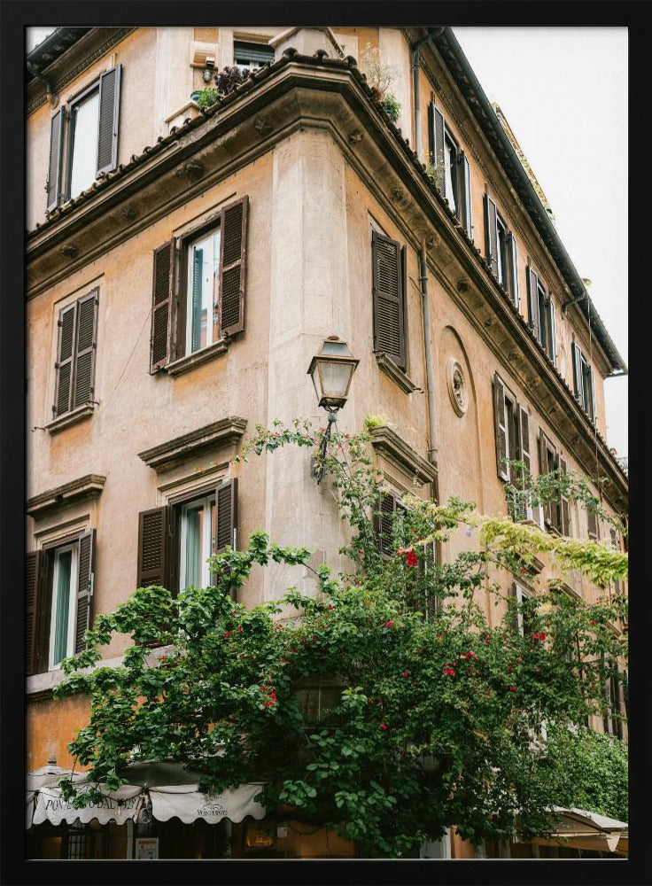 Botanical Trastevere Rome ||