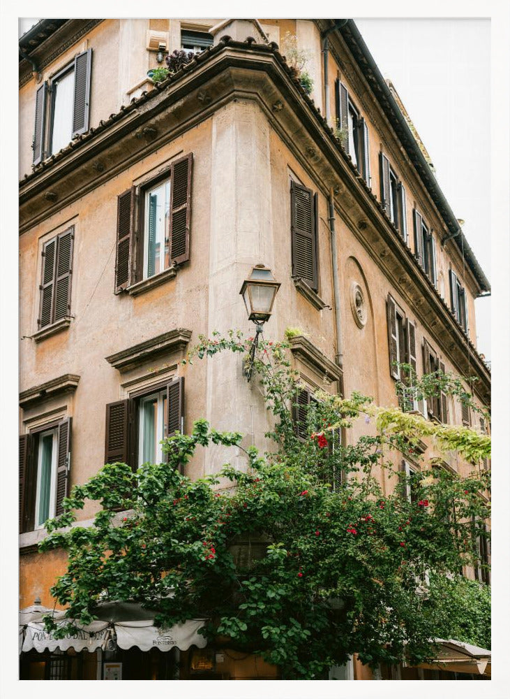 Botanical Trastevere Rome ||