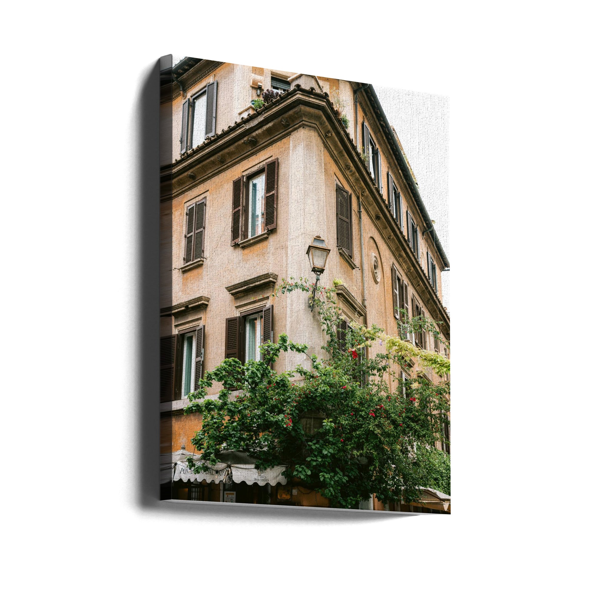 Botanical Trastevere Rome ||