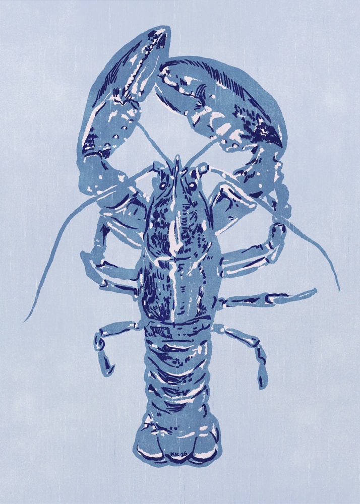Illustration eines Hummers in Indigoblau auf hellblauem Hintergrund