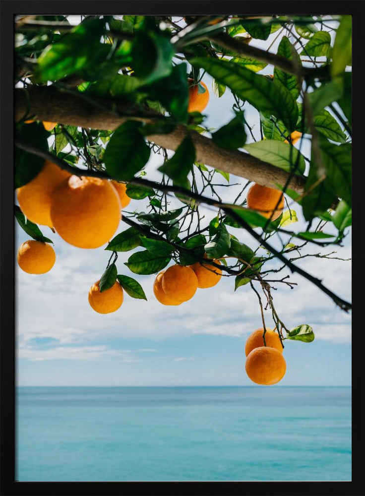 Amalfi Coast Oranges IV