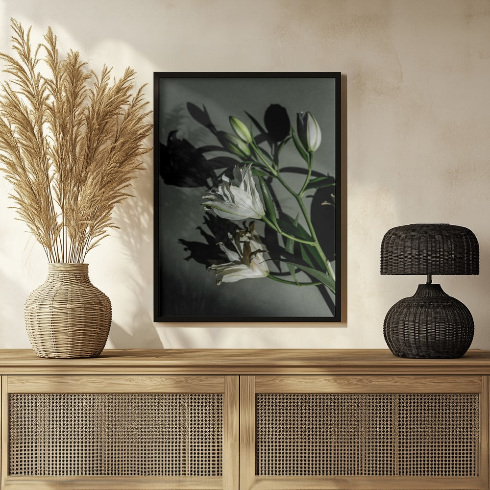 Fotografie weißer Lilien mit Schatten auf graugrüner Wand