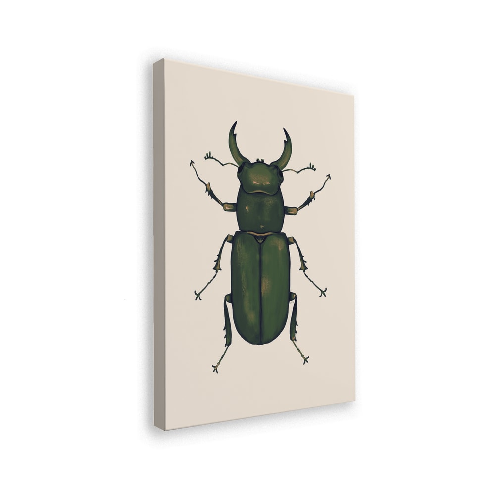Illustration eines dunkelgrünen Hirschkäfers auf hellem Hintergrund