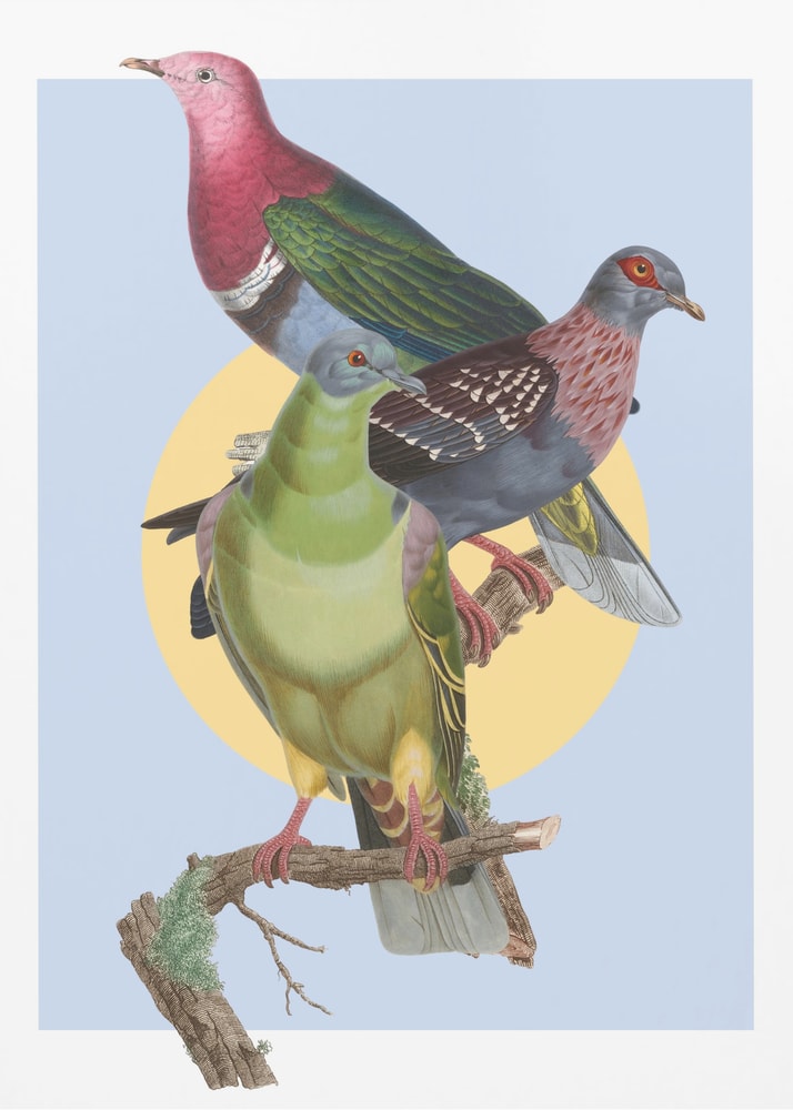 Illustration dreier bunter Tauben auf einem Ast vor gelbem Kreis und hellblauem Hintergrund