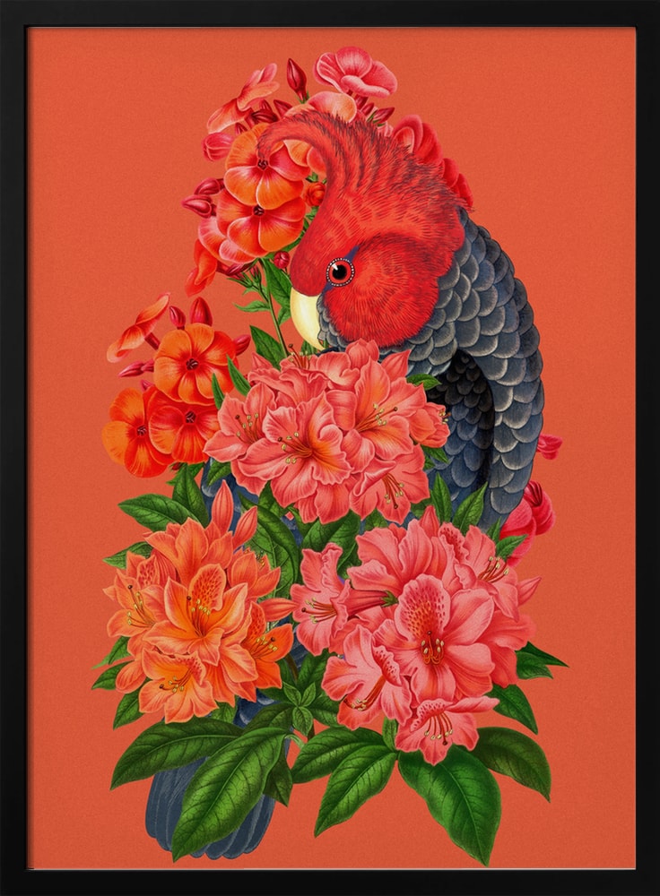Illustration eines Kakadus mit rotem Kopf zwischen roten und lachsfarbenen Blüten auf orangerotem Hintergrund