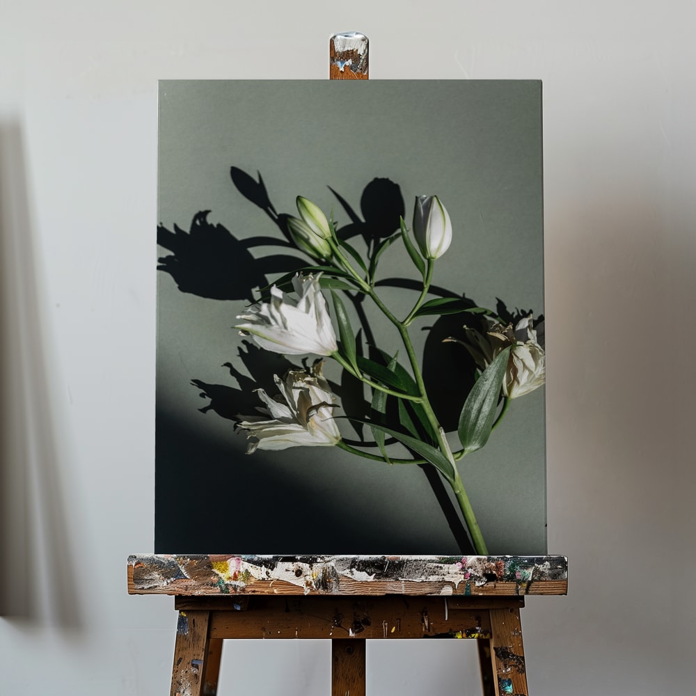 Fotografie eines Lilienzweigs mit Knospen und Schatten auf graugrünem Hintergrund
