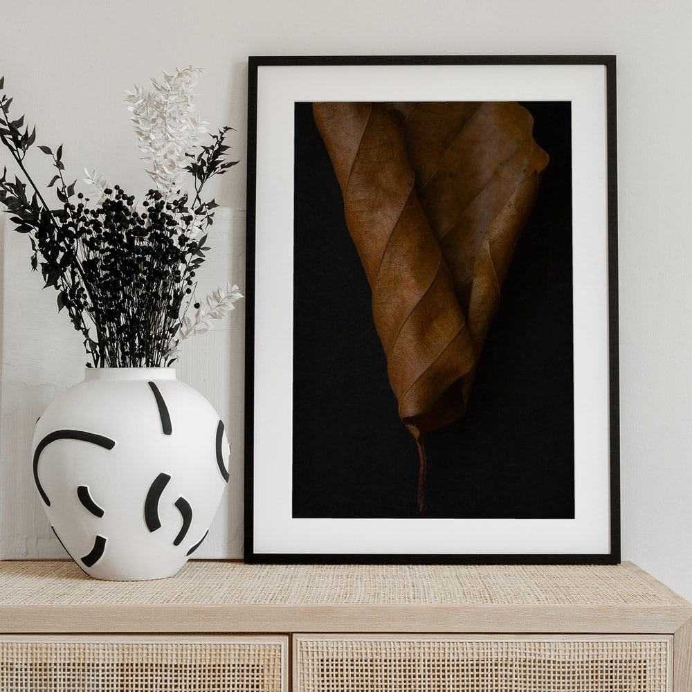 Fotografie eines braunen, eingerollten Herbstblatts vor schwarzem Hintergrund
