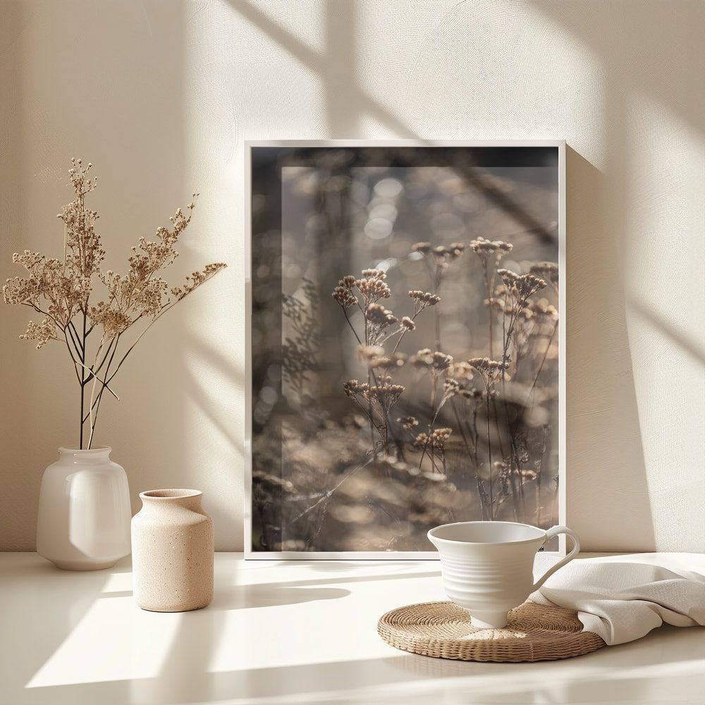 Fotografie trockener Blüten im goldenen Gegenlicht mit unscharfem Hintergrund
