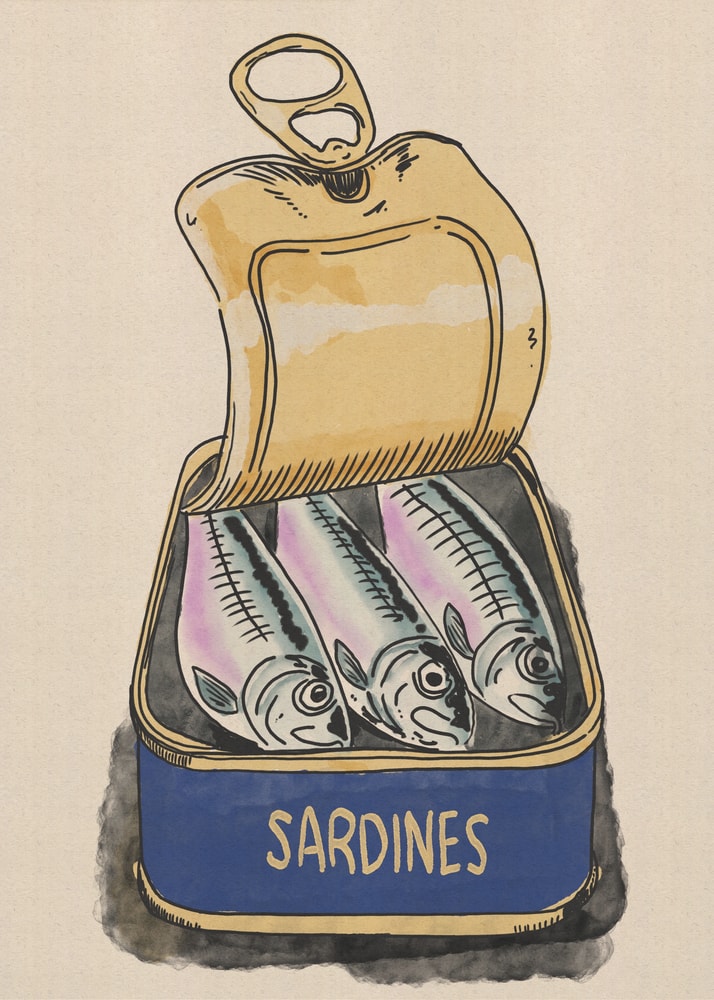 Illustration einer geöffneten Sardinendose mit drei Fischen