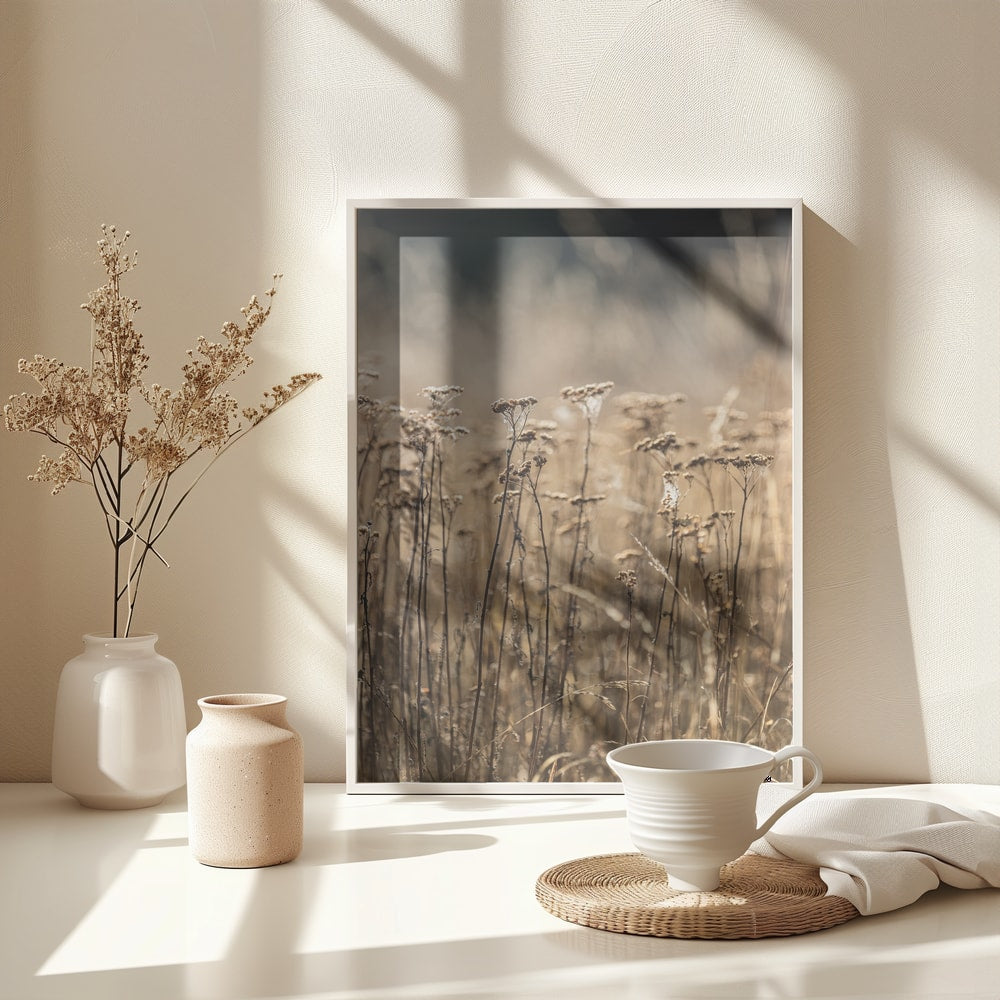 Fotografie eines Feldes mit trockenen Gräsern und Blüten in Beige- und Goldtönen