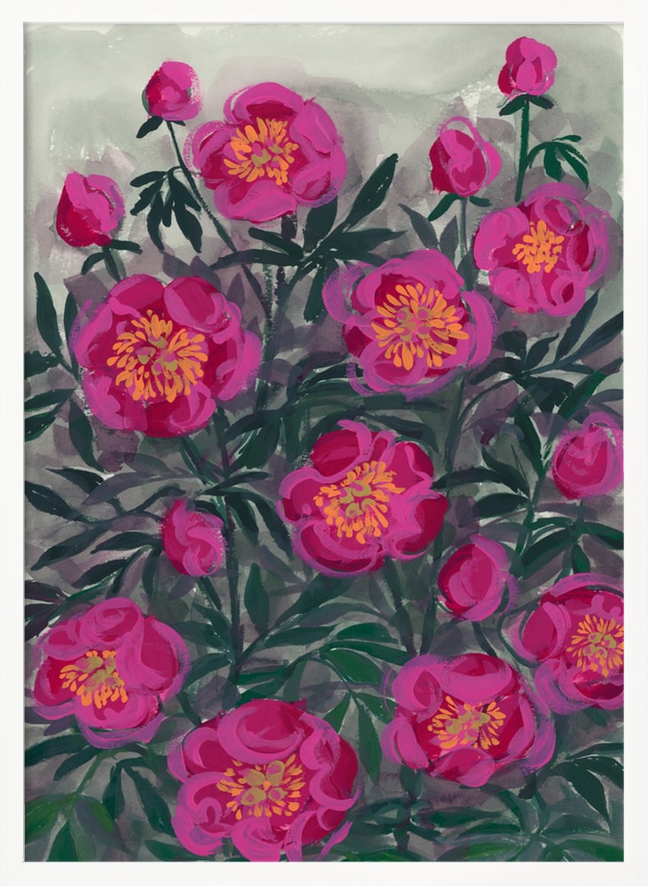 Pinke Pfingstrosen II