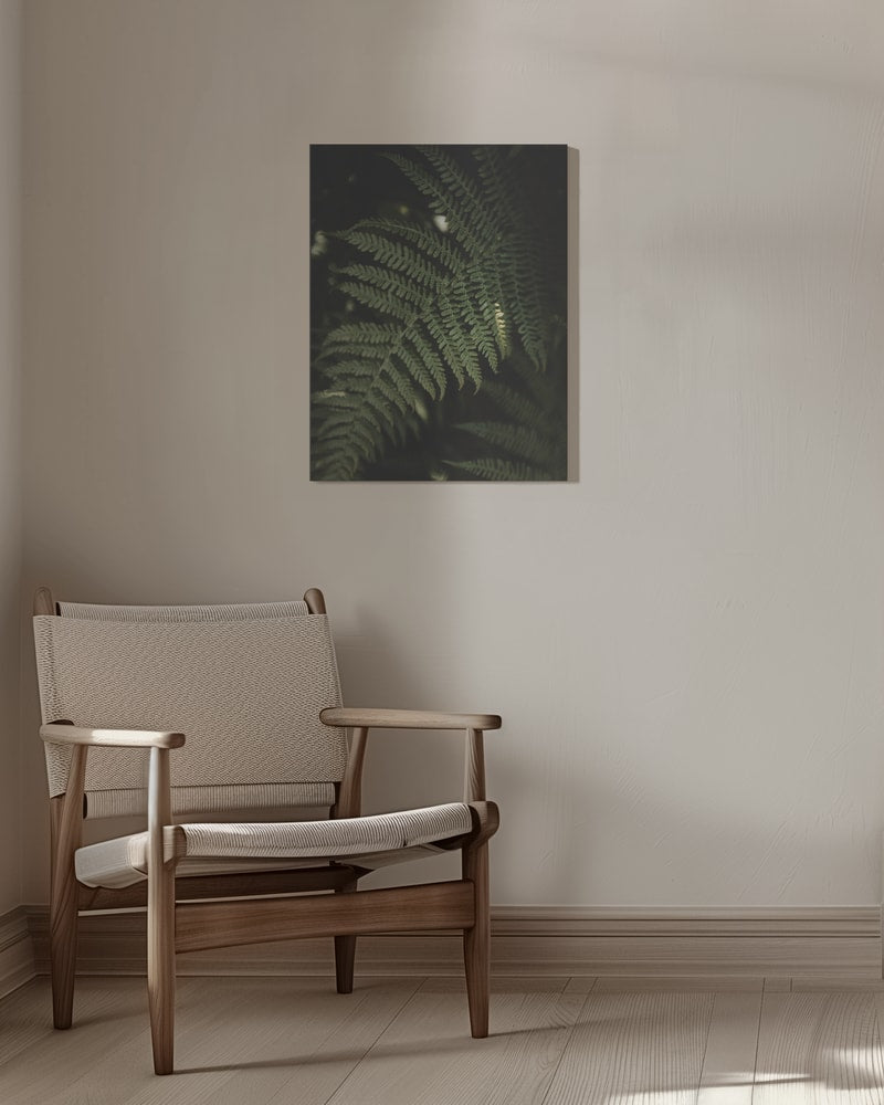 Fotografie eines grünen Farnwedels im dunklen Wald