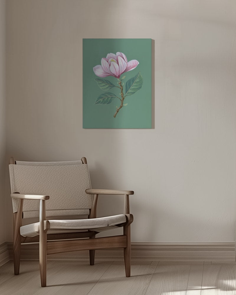 Illustration eines Magnolienzweigs mit rosa Blüte auf salbeigrünem Hintergrund