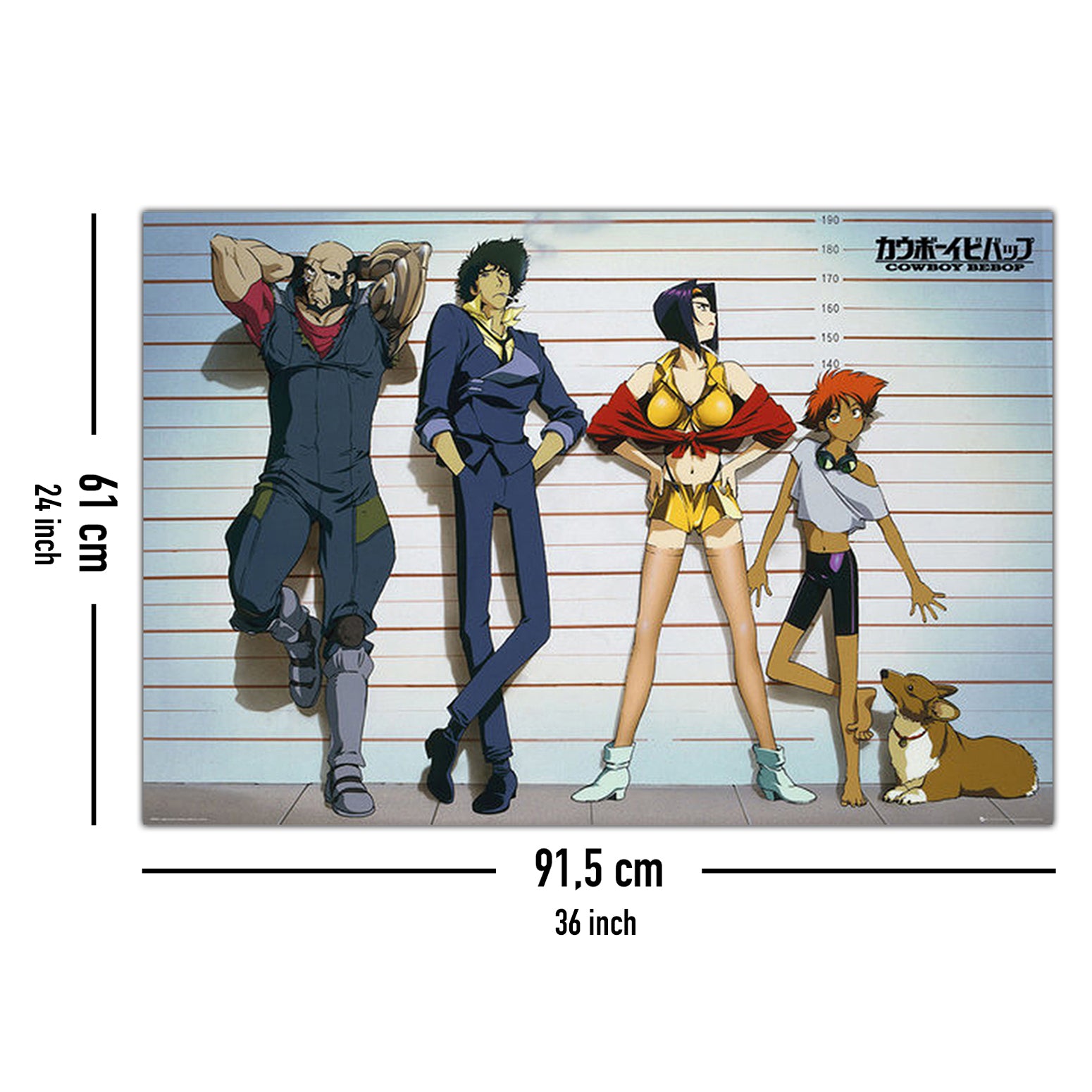 Here should be a File.