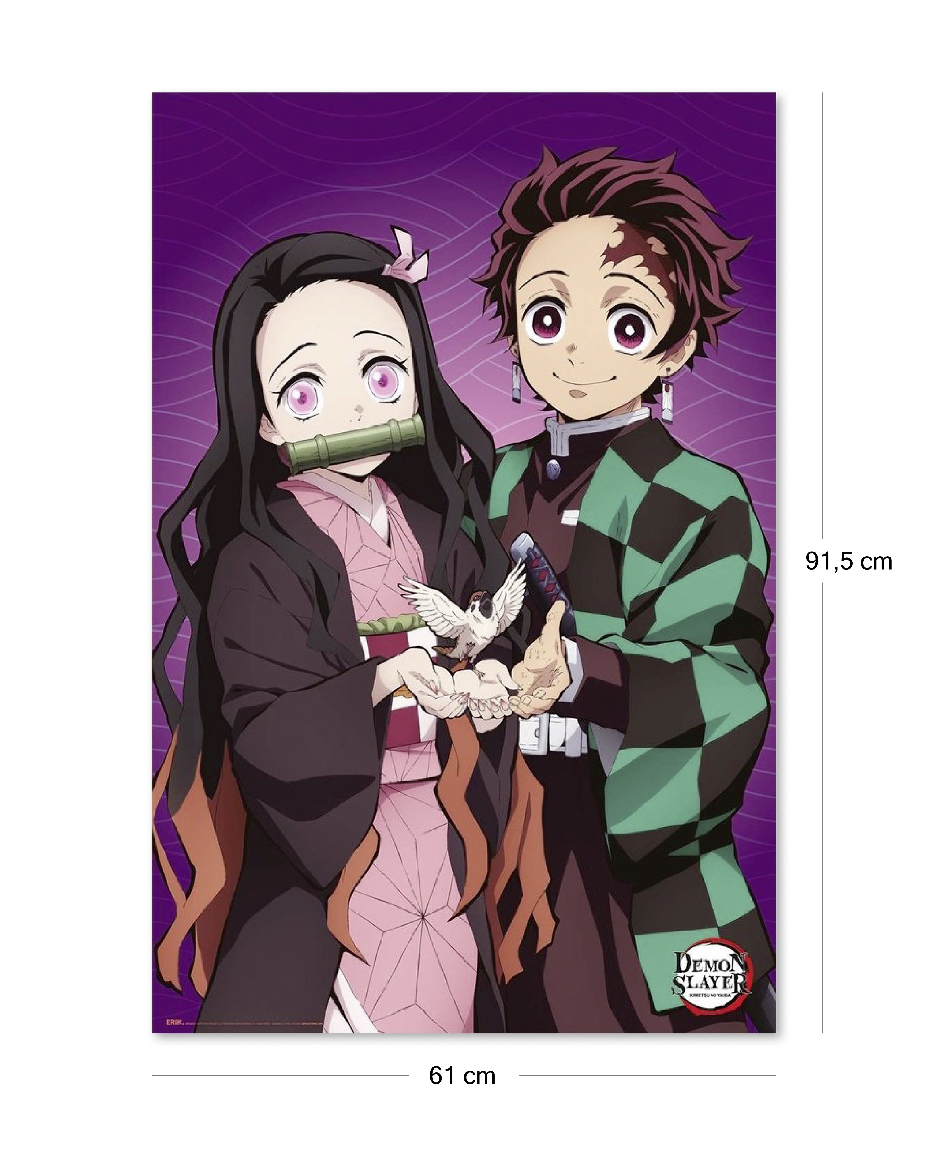 Demon Slayer Poster 2 The Hinokami Chronicles