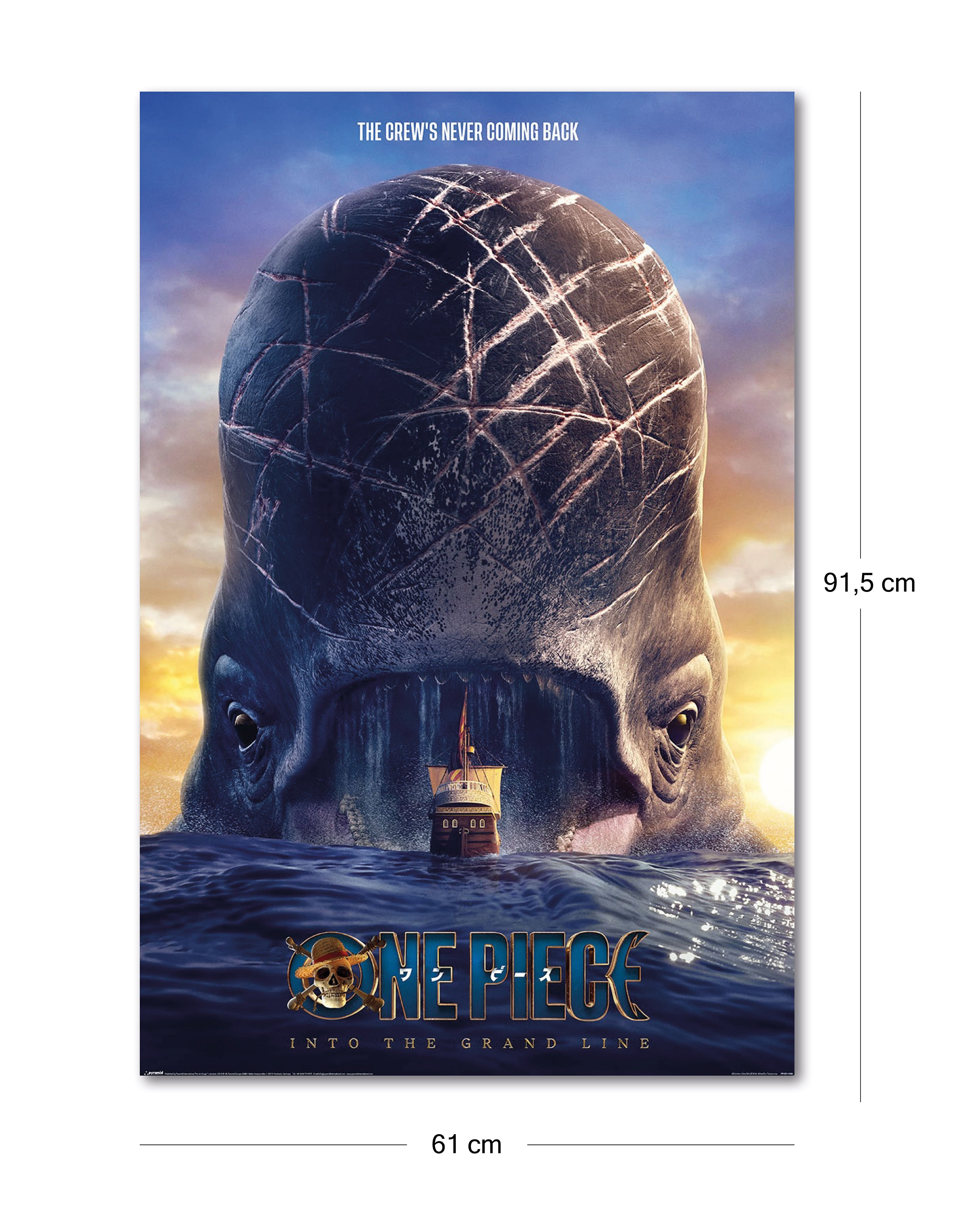 Here should be a File.