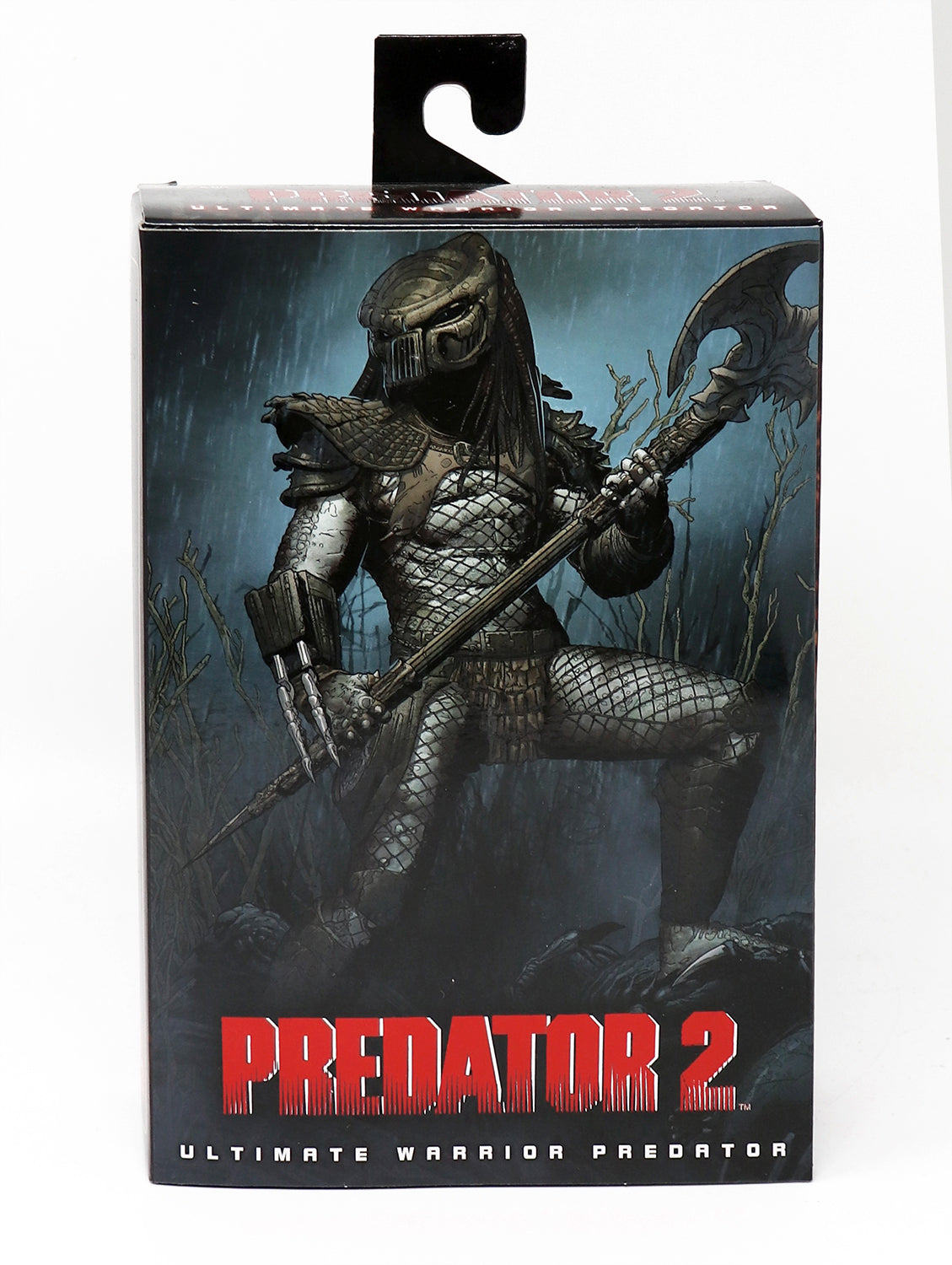 Here should be a File.