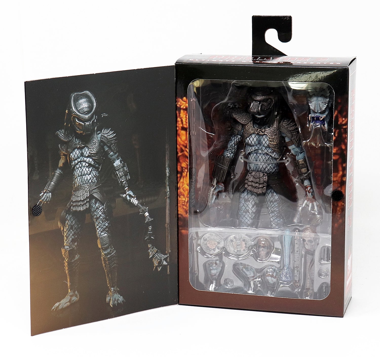 Here should be a File.