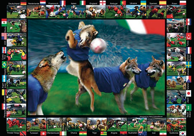 Here should be a File.