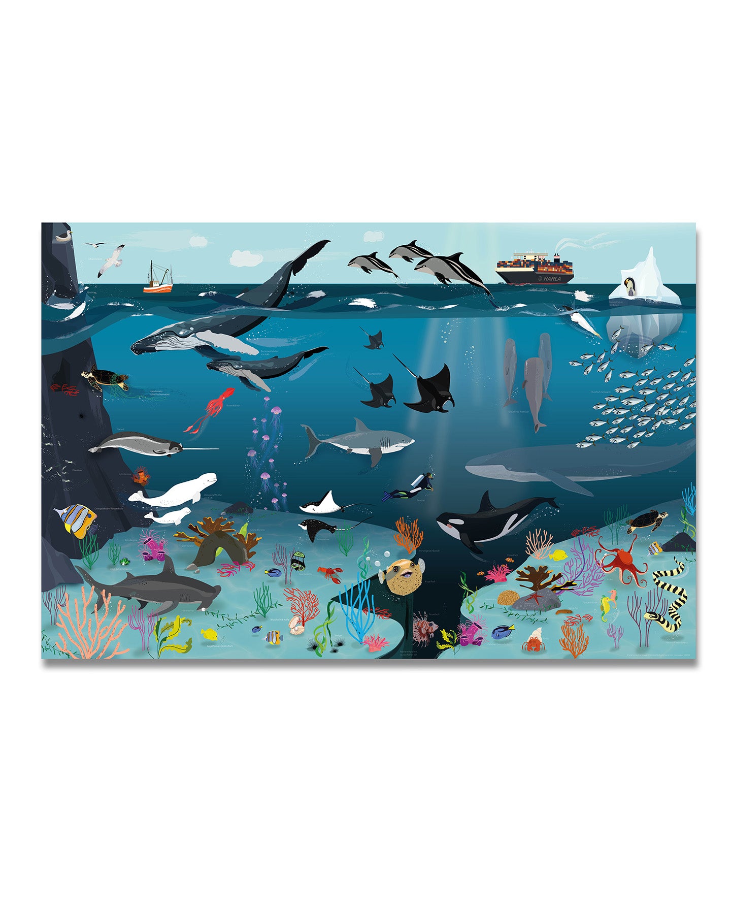 Unterwasser Tierwelt für Kinder farbfrohe Zeichnung