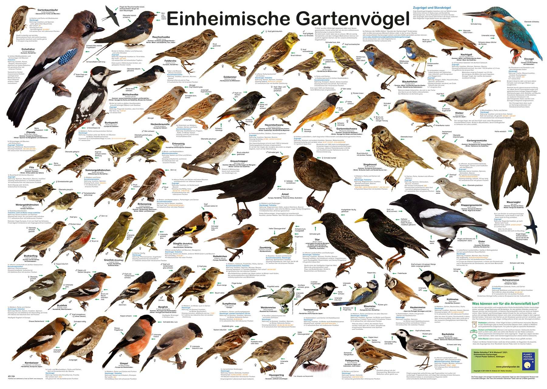 Here should be a File.