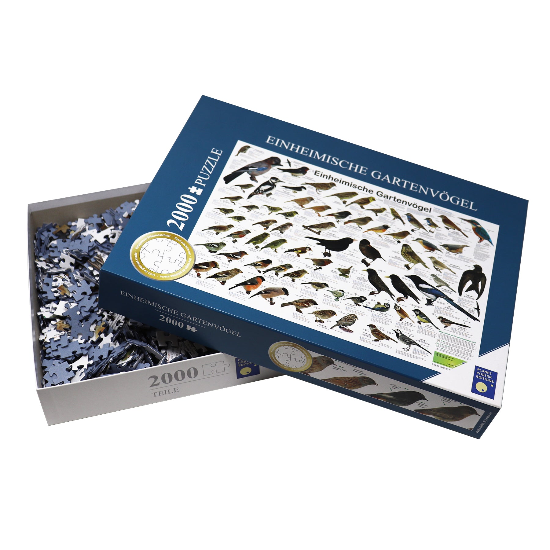 Here should be a File.