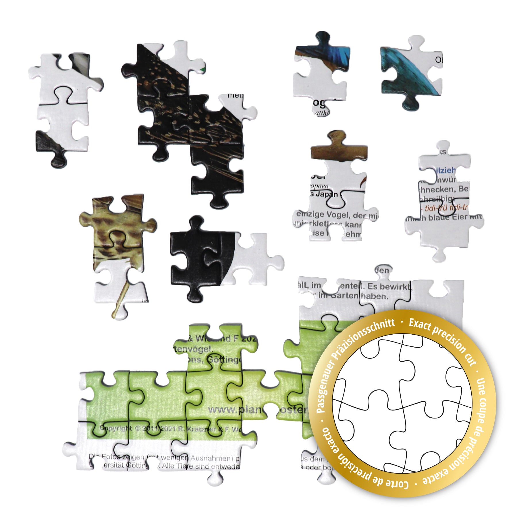 Here should be a File.