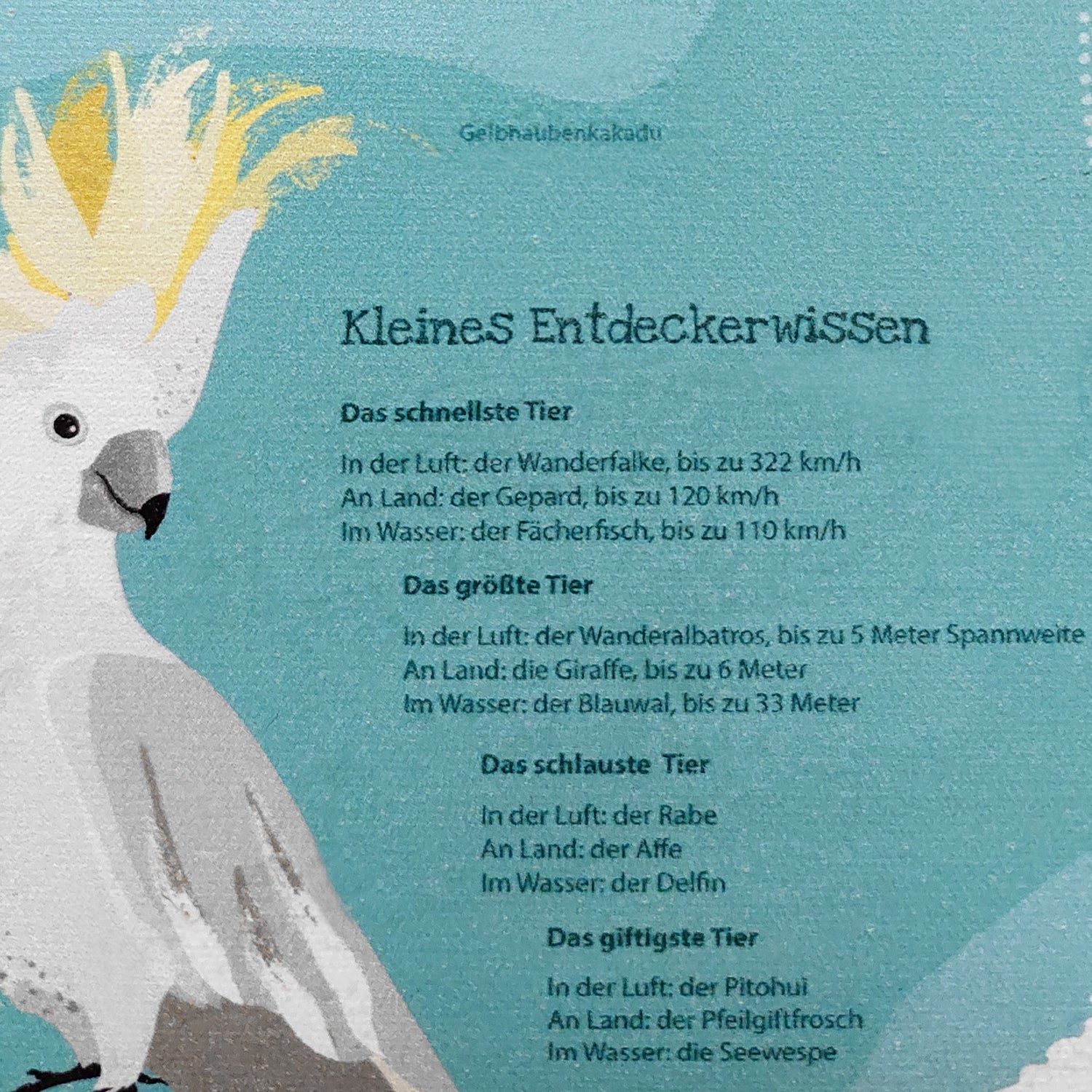 Here should be a File.