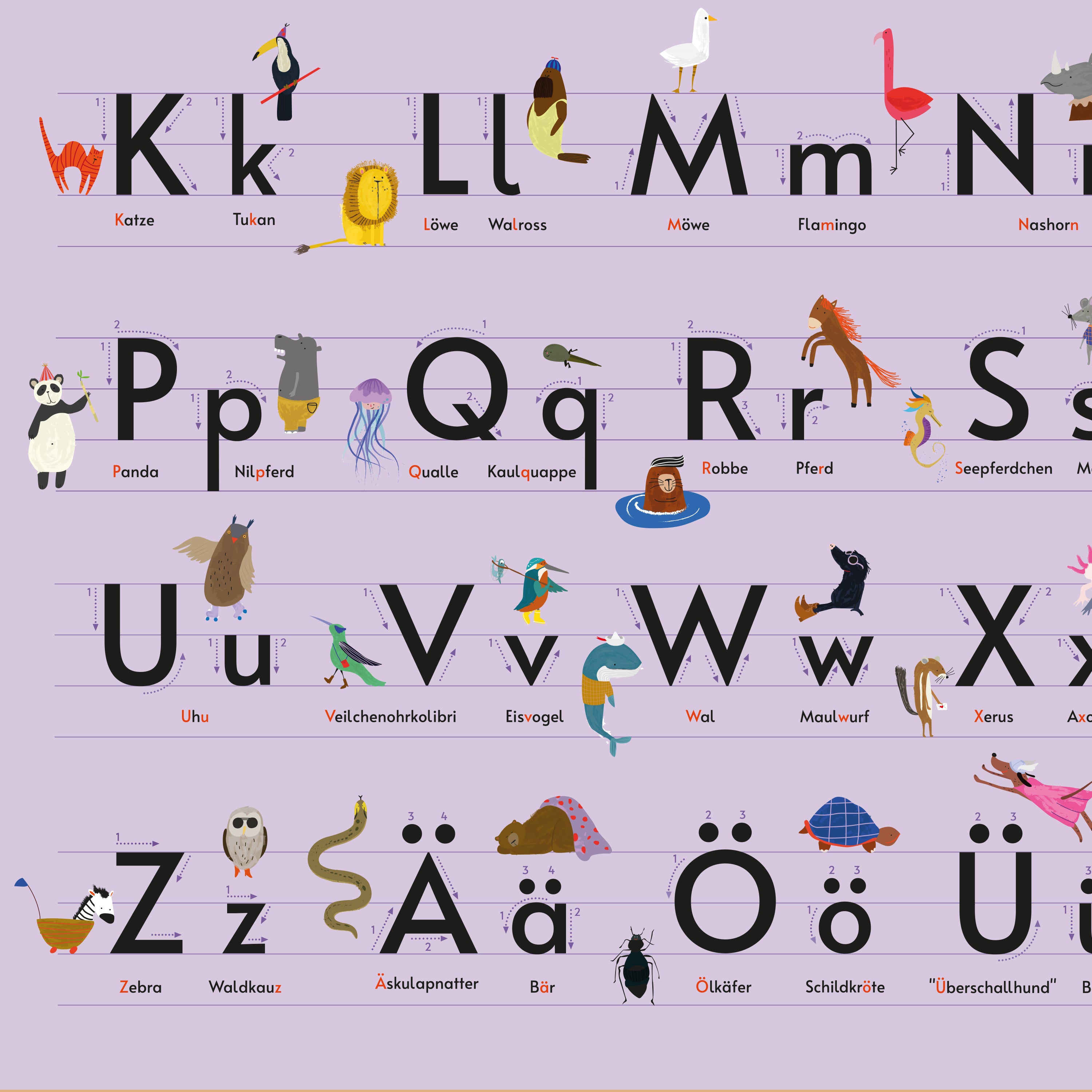 Here should be a File.