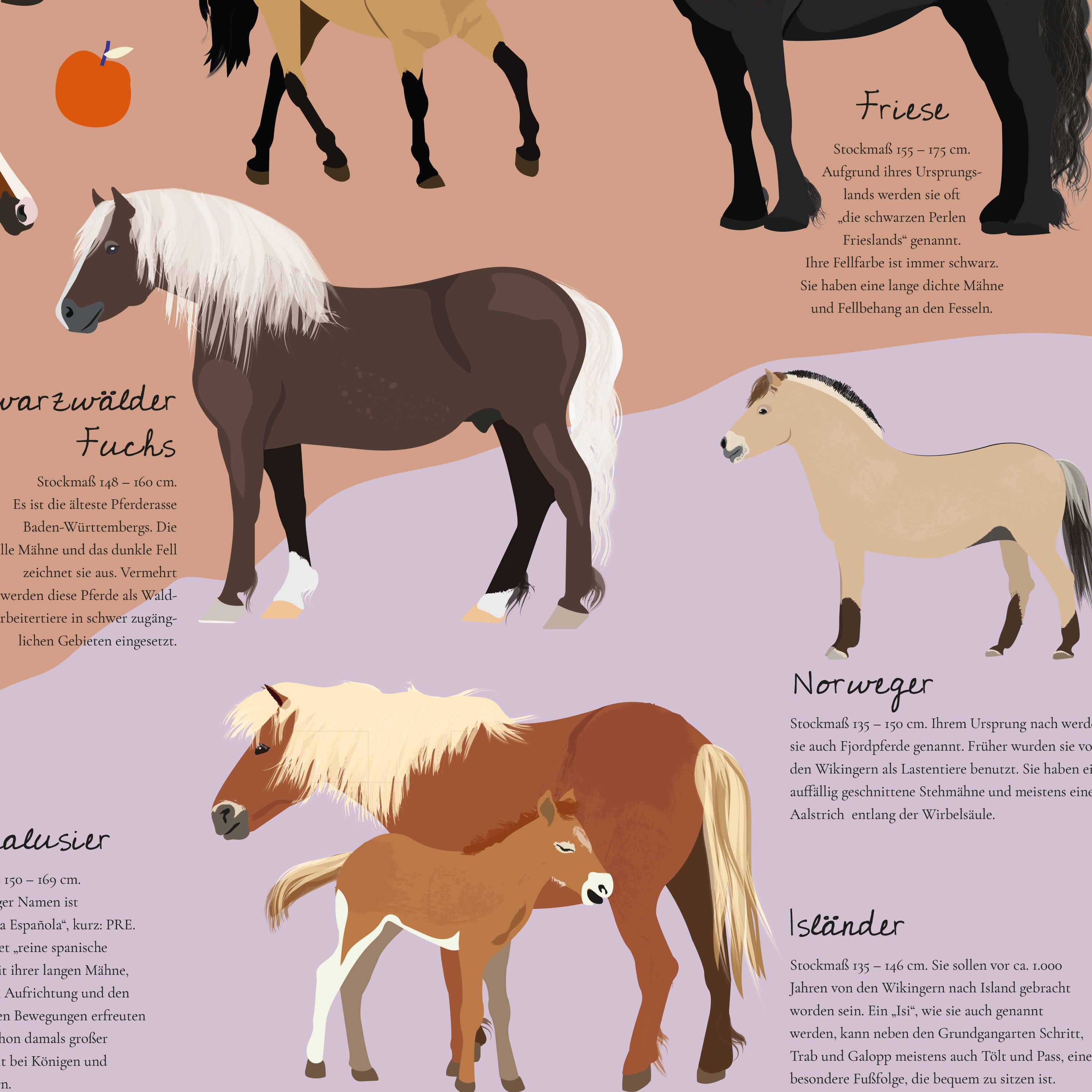 Here should be a File.