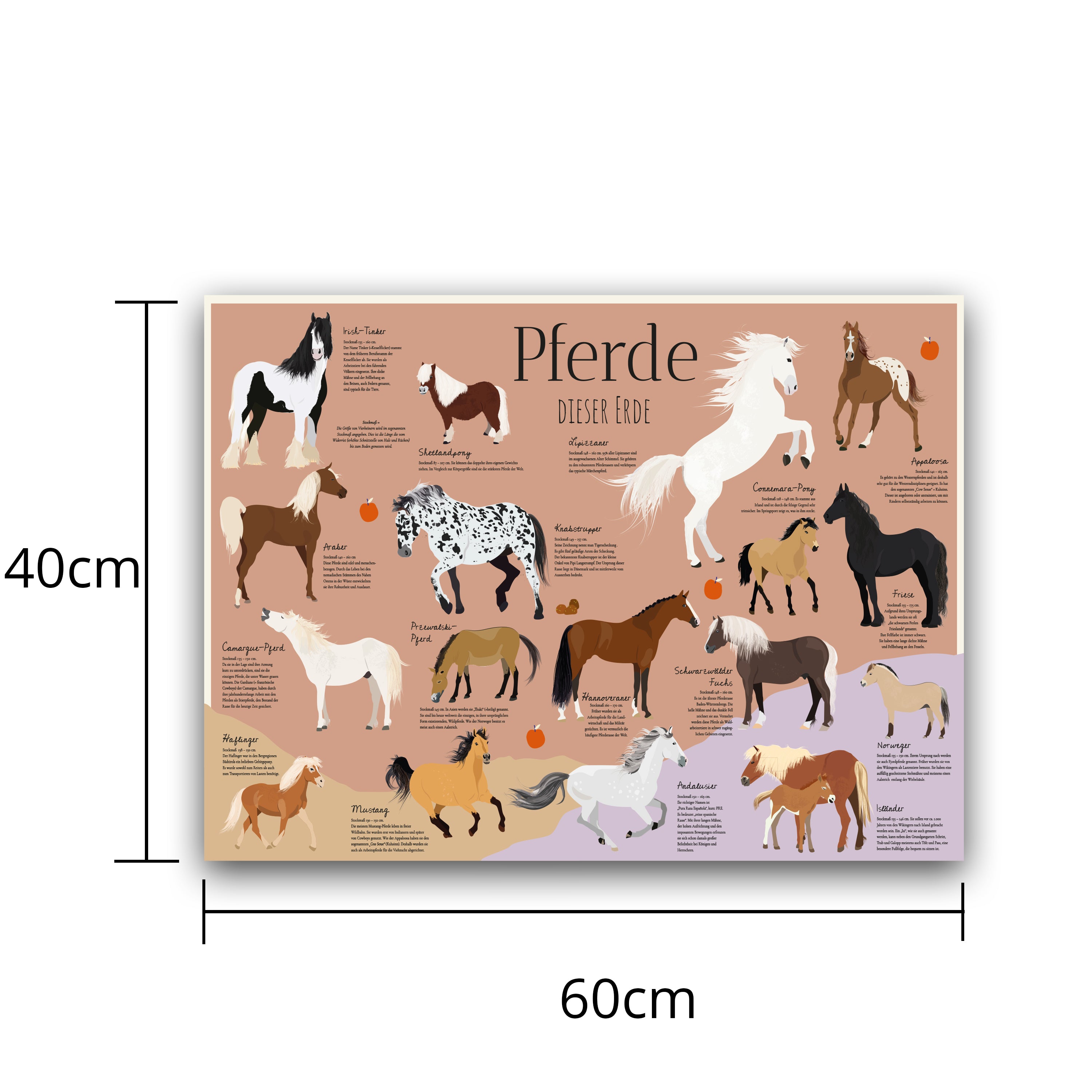 Here should be a File.