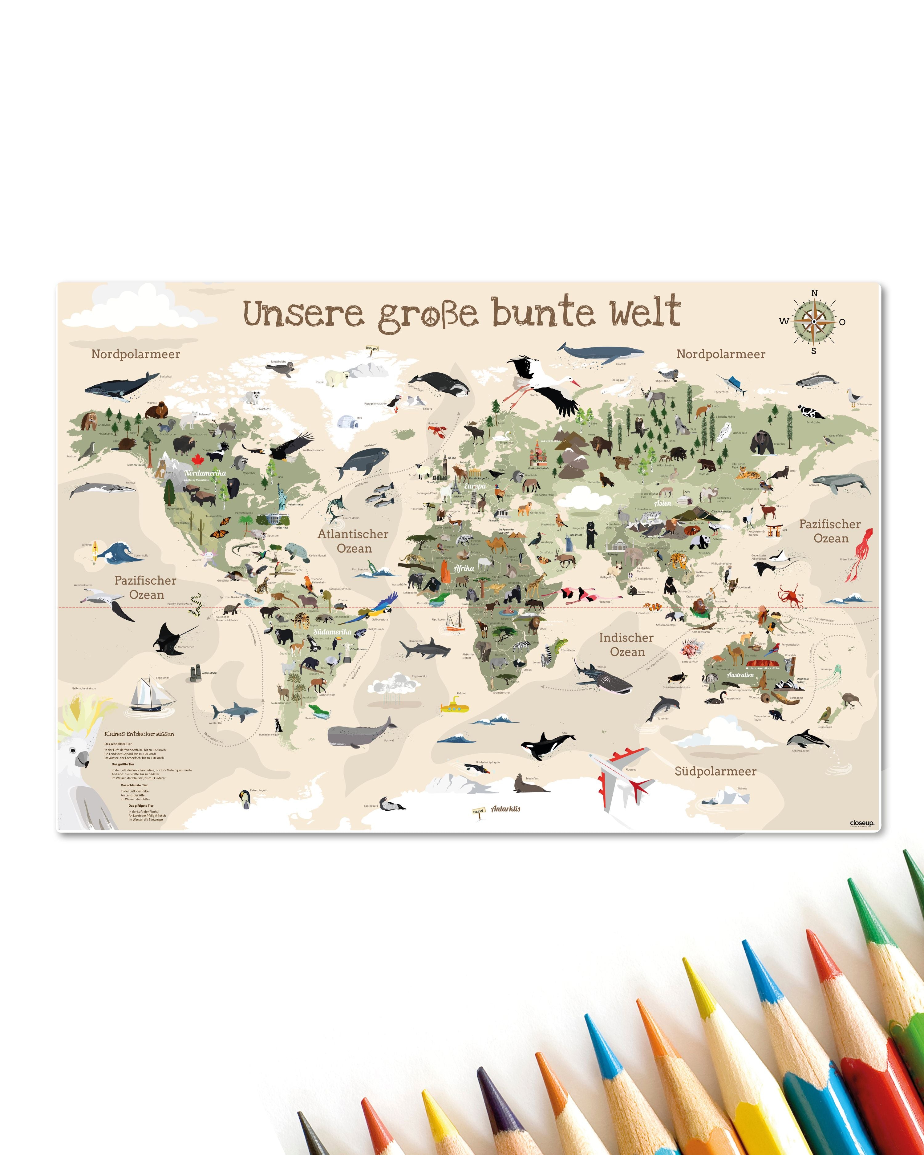 Here should be a File.