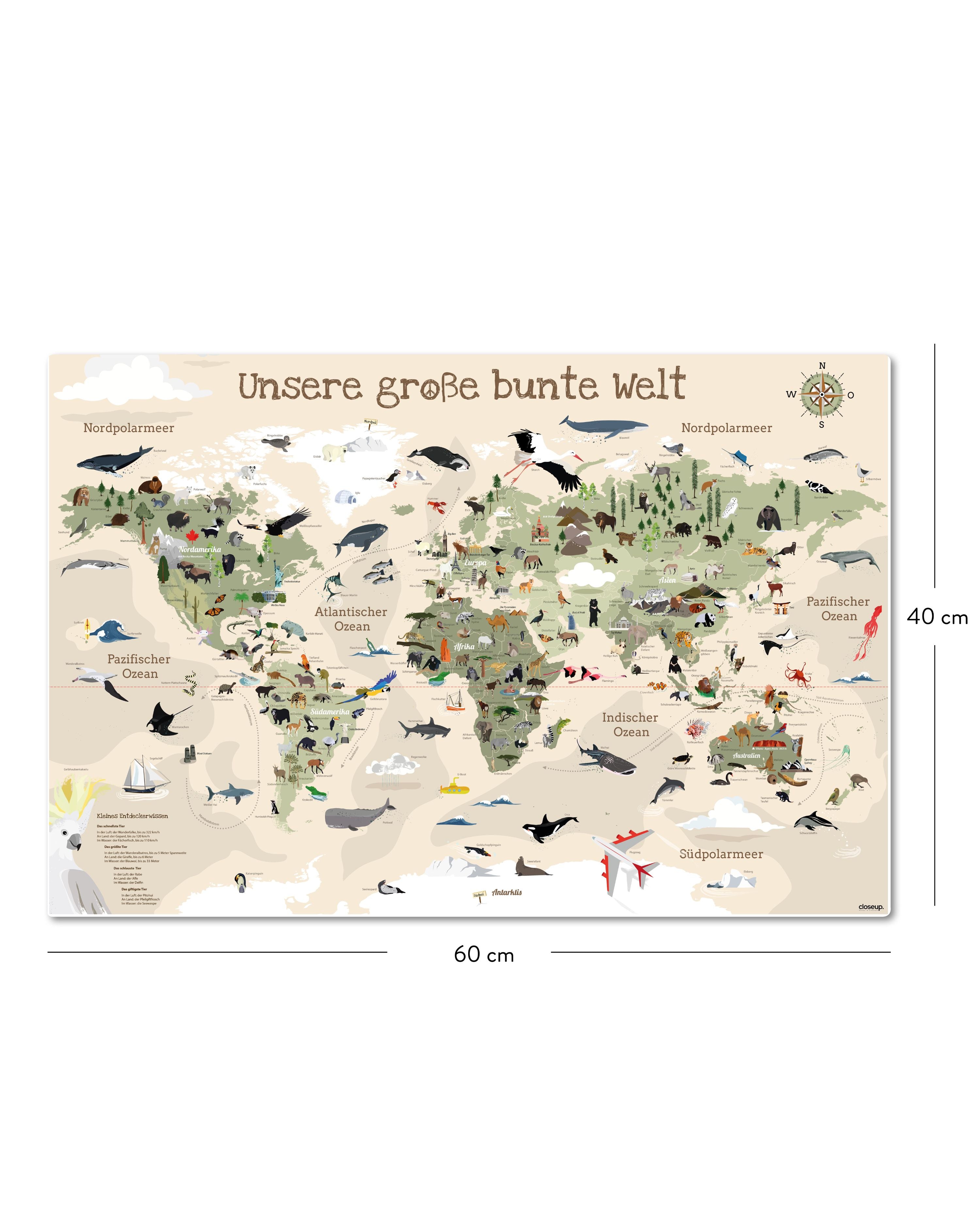 Here should be a File.