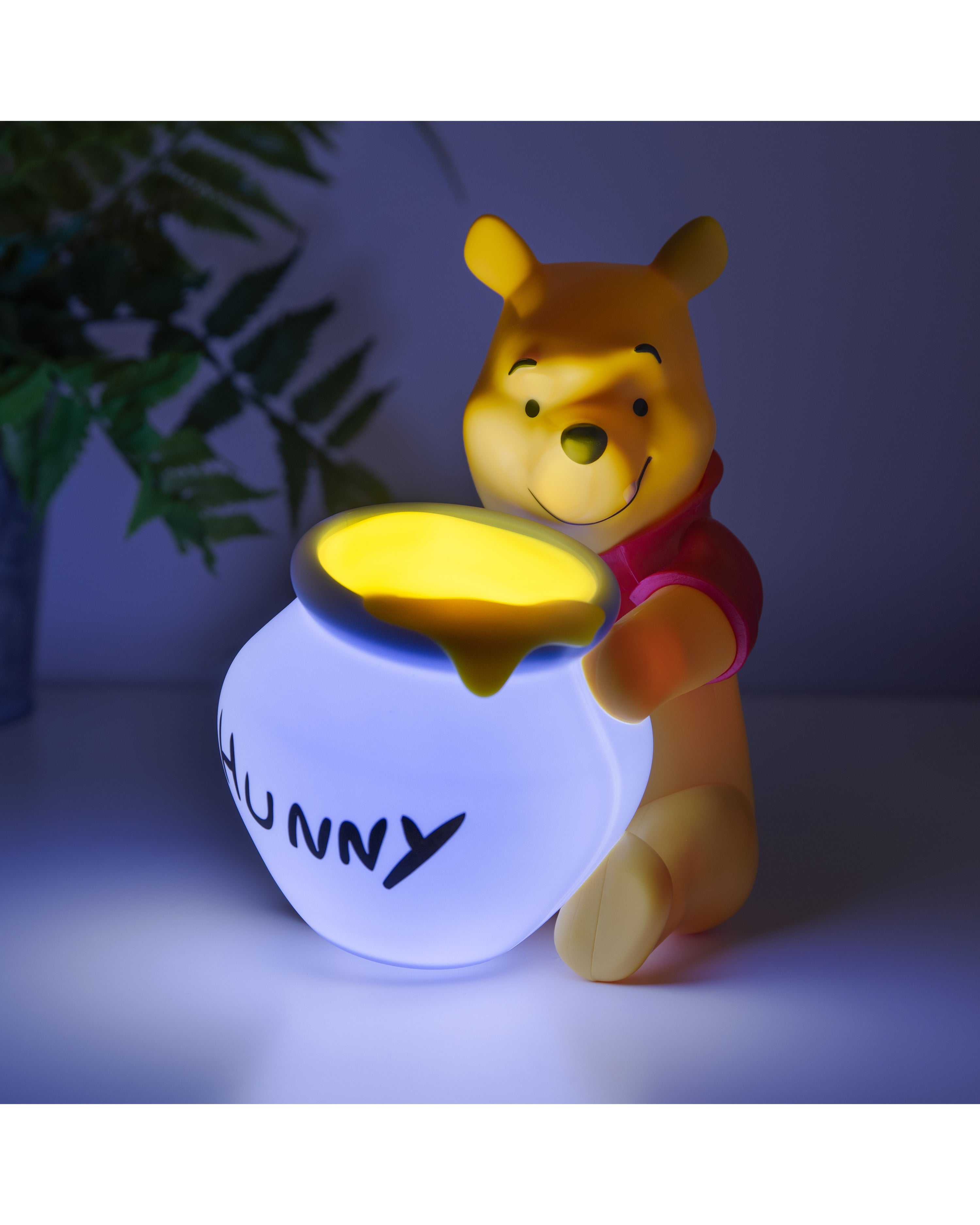 Winnie the Pooh 3D LED Leuchte