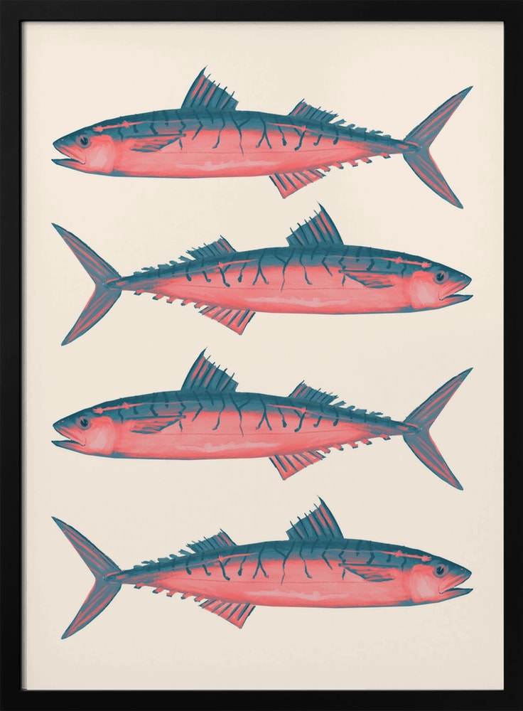 Illustration von vier rosa-blaugrauen Makrelen untereinander auf hellem Hintergrund