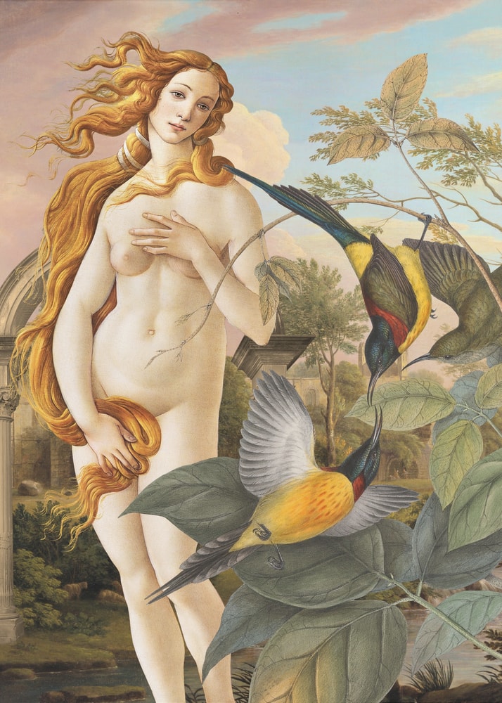 Collage der Venus von Botticelli zwischen bunten tropischen Vögeln und Pflanzen