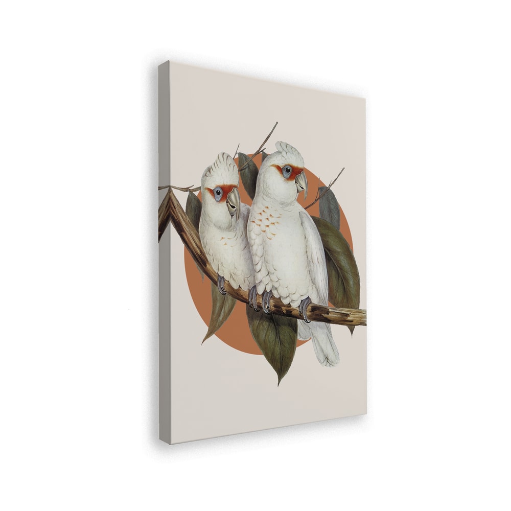 Illustration zweier weißer Kakadus auf einem Ast vor terrakottafarbenem Kreis