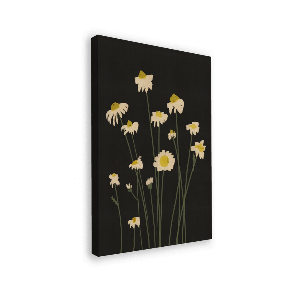 Illustration weißer Gänseblümchen an langen Stielen auf schwarzem Hintergrund