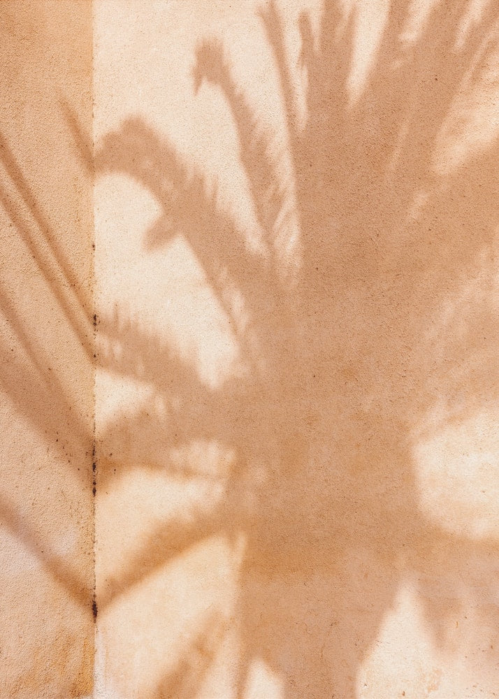 Fotografie eines Palmenschattens auf einer sandfarbenen Wand