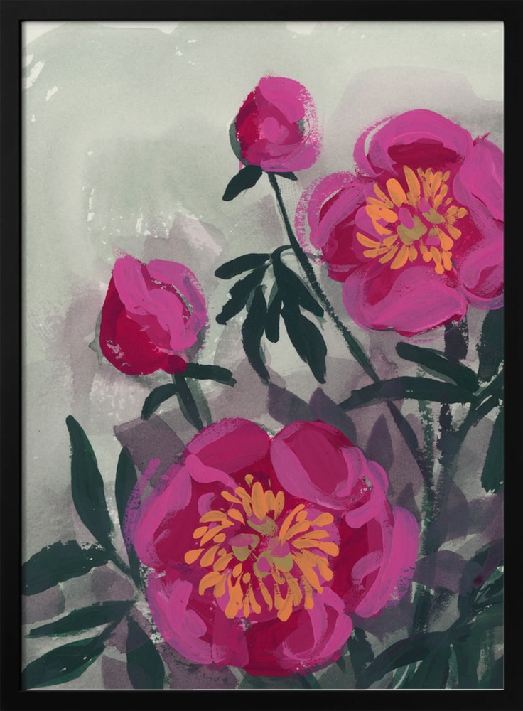 Pinke Pfingstrosen I