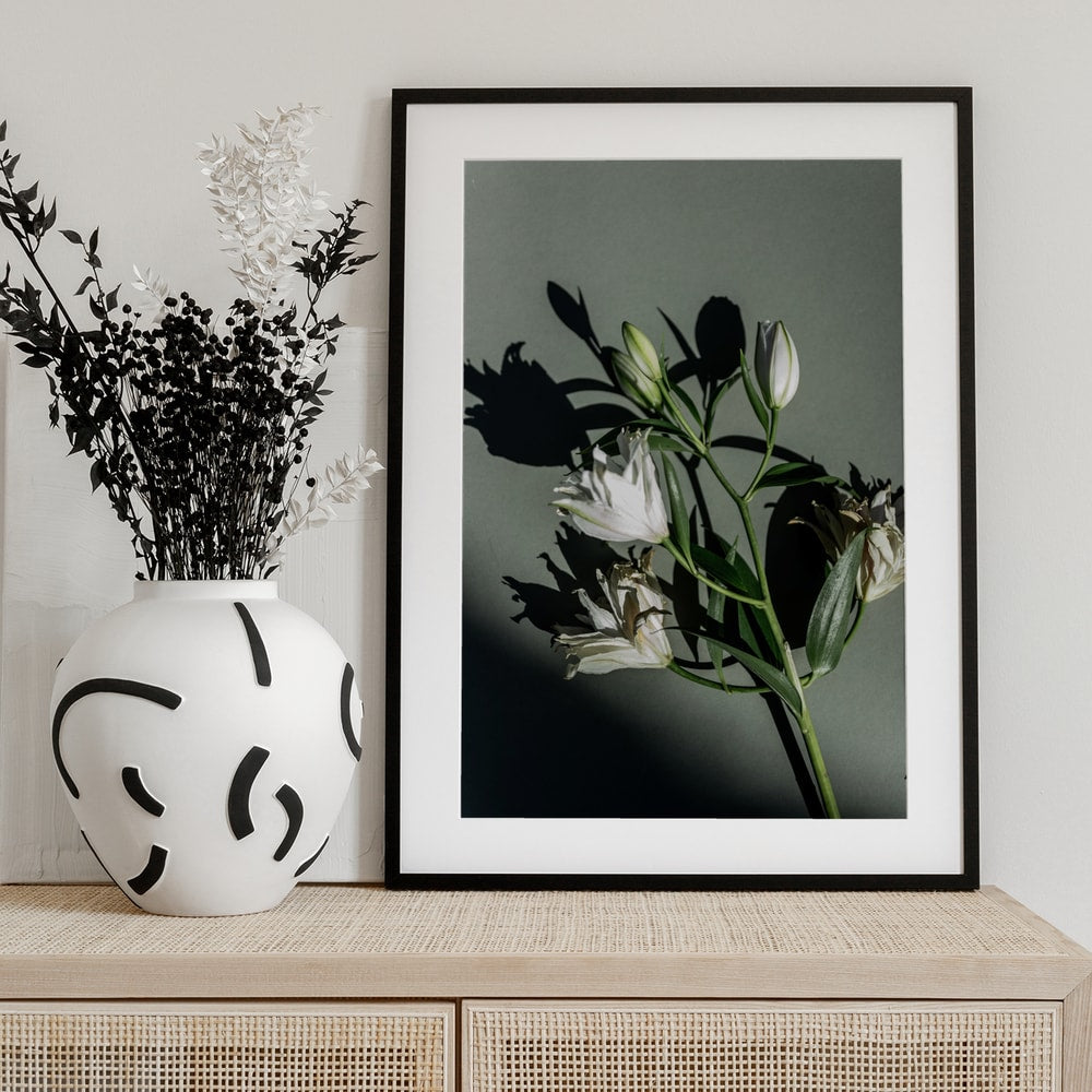 Fotografie eines Lilienzweigs mit Knospen und Schatten auf graugrünem Hintergrund