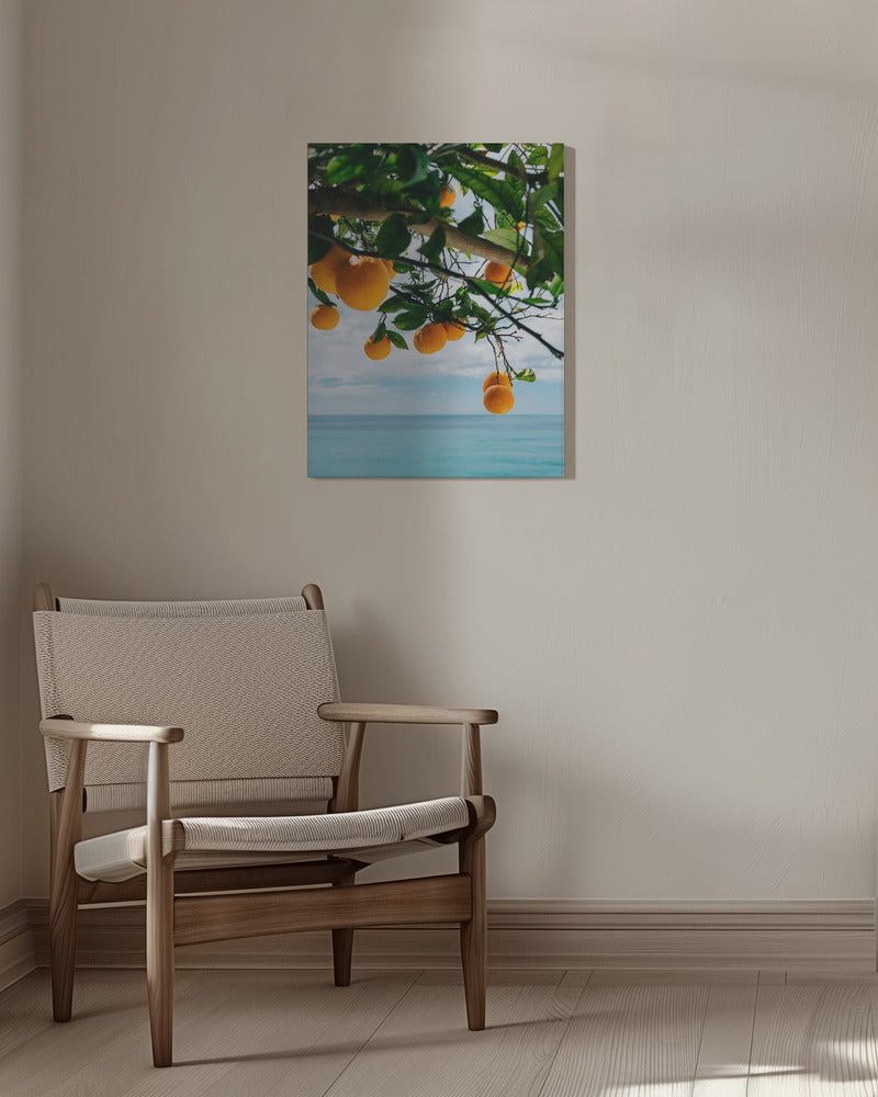 Amalfi Coast Oranges IV