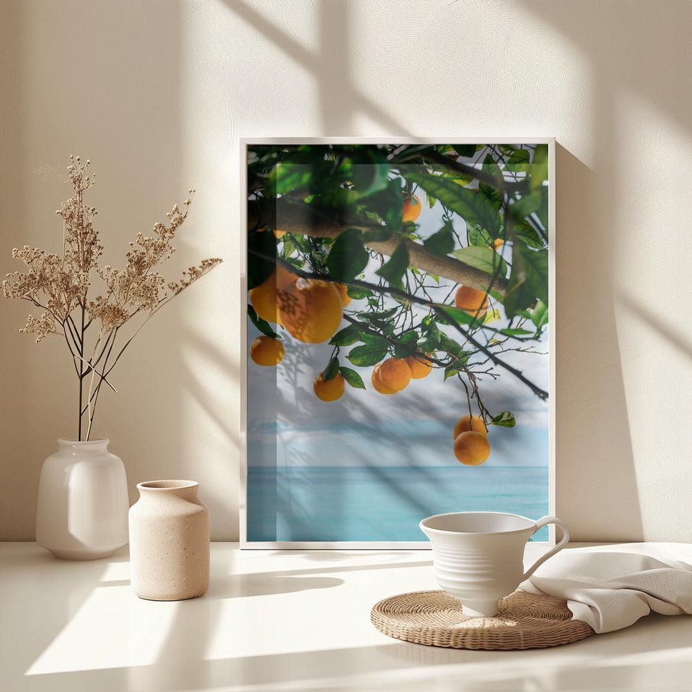 Amalfi Coast Oranges IV