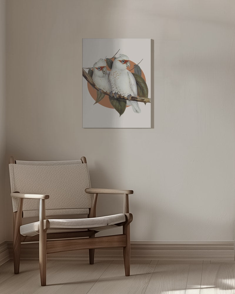 Illustration zweier weißer Kakadus auf einem Ast vor terrakottafarbenem Kreis