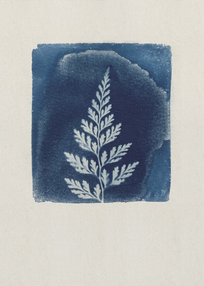 Weißes Farnblatt auf blauem Quadrat im Cyanotypie-Stil auf hellem Papier