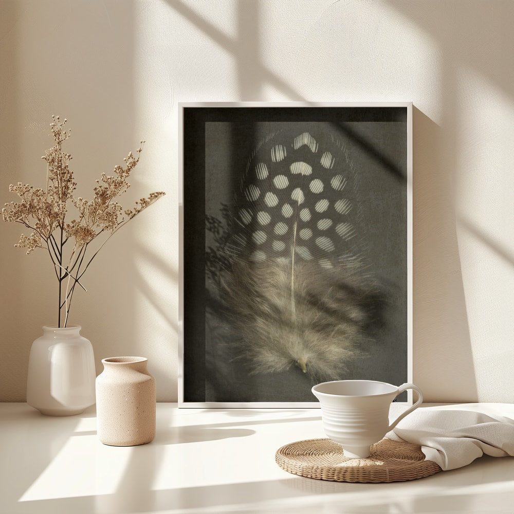 Fotografie einer gepunkteten Perlhuhnfeder vor dunklem Hintergrund