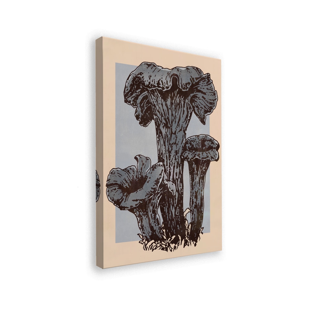 Herbsttrompeten – Pilzillustration