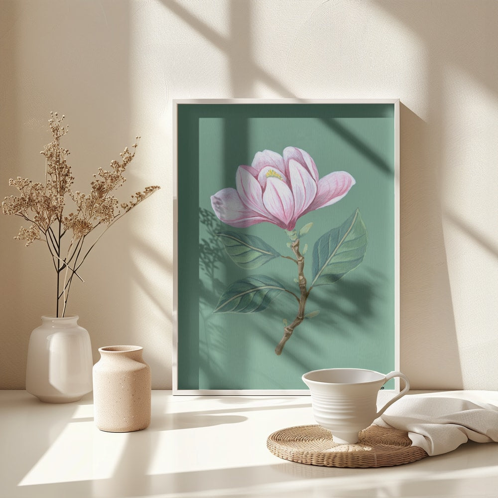 Illustration eines Magnolienzweigs mit rosa Blüte auf salbeigrünem Hintergrund
